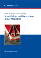 Brigitt Spangenberg, Brigitte Spangenberg, Ernst Spangenberg - Sprachbilder und Metaphern in der Mediation