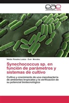 Ever Morales, Nésto Rosales Loaiza, Néstor Rosales Loaiza - Synechococcus sp. en función de parámetros y sistemas de cultivo