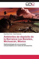 David Fastovsky, Rosa Elen Tovar, Rosa Elena Tovar - Ambientes de depósito de la Barranca Los Bonetes, Michoacán, México