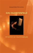 Joachim Strienz - Das Quantenfeld