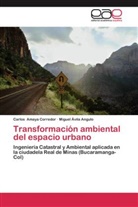 Carlo Amaya Corredor, Carlos Amaya Corredor, Miguel Ávila Angulo - Transformación ambiental del espacio urbano