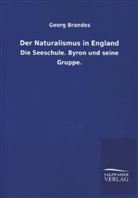 Georg Brandes - Der Naturalismus in England