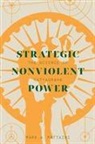 Mark A. Mattaini - Strategic Nonviolent Power