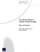 Edmundo Molina-Perez, David S. Ortiz, Constantine Samaras - The Industrial Base for Carbon Dioxide Storage