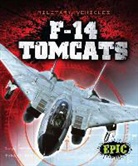 Denny von Finn, Denny Von Finn - F-14 Tomcats