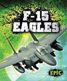 Denny von Finn, Denny Von Finn - F-15 Eagles