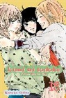 Mirka Andolfo, Karuho Shiina, Karuho Shiina, Tom Sniegoski, Karuho Shiina - Kimi Ni Todoke