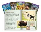 Shell Education, Teacher Created Materials - All about Animals Set