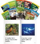 Multiple Authors, Teacher Created Materials, Teacher Created Materials - Animals and Insects, Grades 1-2