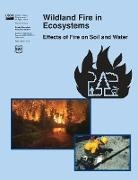 Jan L. Et Al Beyers, Rocky Mountain Research Service, U. S. Department of Agriculture - Wildland Fire in Ecosystems: Effects of Fire on Soil and Water