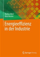 Bles, Marku Blesl, Markus Blesl, Kessler, Alois Kessler - Energieeffizienz in der Industrie