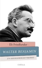 Eli Friedlander, Eli Friedländer - Walter Benjamin