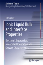 Till Cremer - Ionic Liquid Bulk and Interface Properties