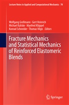 Wolfgang Grellmann, Ger Heinrich, Gert Heinrich, Michael Kaliske, Michael Kaliske et al, Manfred Klüppel... - Fracture Mechanics and Statistical Mechanics of Reinforced Elastomeric Blends
