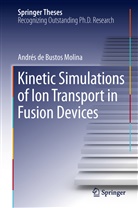 Andrés Bustos Molina, Andres de Bustos Molina, Andrés de Bustos Molina - Kinetic Simulations of Ion Transport in Fusion Devices