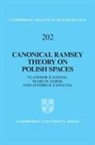 Vladimir Kanovei, Vladimir (Russian Academy of Sciences Kanovei, Vladimir Sabok Kanovei, Marcin Sabok, Marcin (Polish Academy of Sciences) Sabok, Jind&amp; Zapletal... - Canonical Ramsey Theory on Polish Spaces