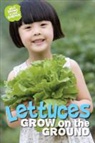 Anne Rooney - Lettuces (Qed Readers)