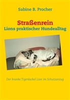 Sabine B Procher, Sabine B. Procher - Straßenrein
