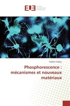 Frédéric Clabau, Clabau-f - Phosphorescence: mecanismes et