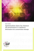 Henoc Soude, Soude-h - Optimisation dans les reseaux de