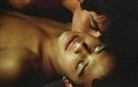 Gus Subero, Gustavo Subero, Lucia Nagib, Lúcia Nagib, Julian Ross - Queer Masculinities in Latin American Cinema