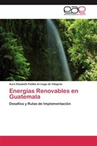 Aura Elizabeth Padilla Arreaga de Villagrán - Energías Renovables en Guatemala