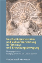 Wolfgan Breul, Wolfgang Breul, Carsten Schnurr, Carsten Schnurr, Jan Carsten Schnurr - Geschichtsbewusstsein und Zukunftserwartung in Pietismus und Erweckungsbewegung