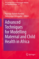 Ghilagaber, Ghilagaber, Gebrenegus Ghilagaber, Ngianga-Bakwi Kandala, Ngianga-Bakwin Kandala - Advanced Techniques for Modelling Maternal and Child Health in Africa