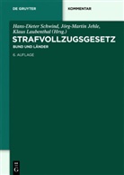 Böh, Alexande Böhm, Alexander Böhm, Jörg-Martin Jehle, Jörg-Martin Jehle u a, Klaus Laubenthal... - Strafvollzugsgesetz (StVollzG)