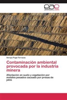 Soraya Puga-Terrazas - Contaminación ambiental provocada por la industria minera