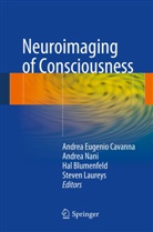 Hal Blumenfeld, Hal Blumenfeld et al, Andrea E. Cavanna, Andrea Eugenio Cavanna, Steven Laureys, Andre Nani... - Neuroimaging of Consciousness
