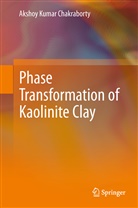 Akshoy Kumar Chakraborty - Phase Transformation of Kaolinite Clay