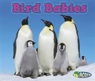 Catherine Veitch - Bird Babies