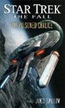 James Swallow - Star Trek the Fall