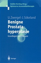 Jürgen Sökeland, Ulrik Zwergel, Ulrike Zwergel - Benigne Prostatahyperplasie