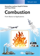 Maximilia Lackner, Maximilian Lackner, Árpád Palotás, Árpád B Palotás, Árpád B. Palotás, Franz Winter - Combustion