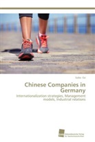 Subo Ge - Chinese Companies in Germany