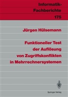 Jürgen Hülsemann - Funktioneller Test der Auflösung von Zugriffskonflikten in Mehrrechnersystemen