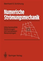 Bernhard E Schönung, Bernhard E. Schönung - Numerische Strömungsmechanik