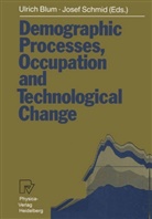 Ulric Blum, Ulrich Blum, Schmid, Schmid, Josef Schmid - Demographic Processes, Occupation and Technological Change