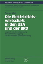 Rainer Walz - Die Elektrizitätswirtschaft in den USA und der BRD
