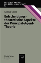 Andreas Kleine - Entscheidungstheoretische Aspekte der Principal-Agent-Theorie