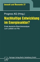 Pete Hofer, Peter Hofer, Janin Scheelhaase, Janina Scheelhaase, Janina Scheelhase, Heimfrid Wolff... - Nachhaltige Entwicklung im Energiesektor?