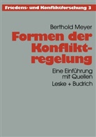 Berthold Meyer - Formen der Konfliktregelung