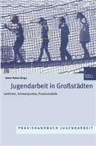Günte Pleiner, Günter Pleiner - Jugendarbeit in Großstädten