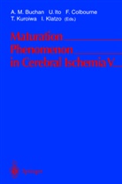 A. M. Buchan, A.M. Buchan, F. Colbourne, F Colbourne et al, Ito, U Ito... - Maturation Phenomenon in Cerebral Ischemia V