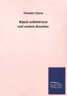 Theodor Storm - Aquis submersus