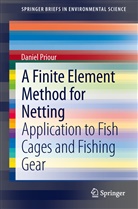 Daniel Priour - A Finite Element Method for Netting