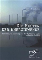 Metin Baran - Die Kosten der Energiewende