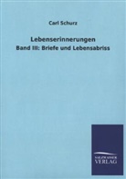 Carl Schurz - Lebenserinnerungen. Bd.3